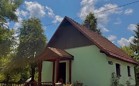 Forest Chalet